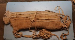 FOTO U Egiptu pronađene mumije lavova